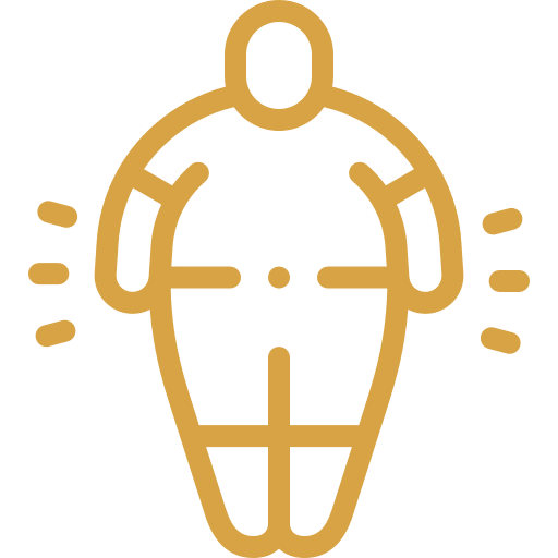 Icon depicting an over weight Person - Urinary Incontinence issues