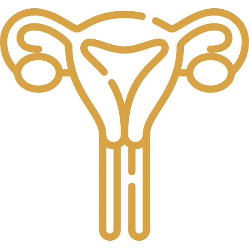 Icon for the female reproductive system - Urinary Incontinence issues